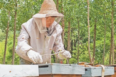 为新农人 跟父亲学养蜂 做直播帮乡亲（我的家乡我建设）九游会登录j9入口河南省新乡市黄寨村村民李卫祥回乡成(图1)